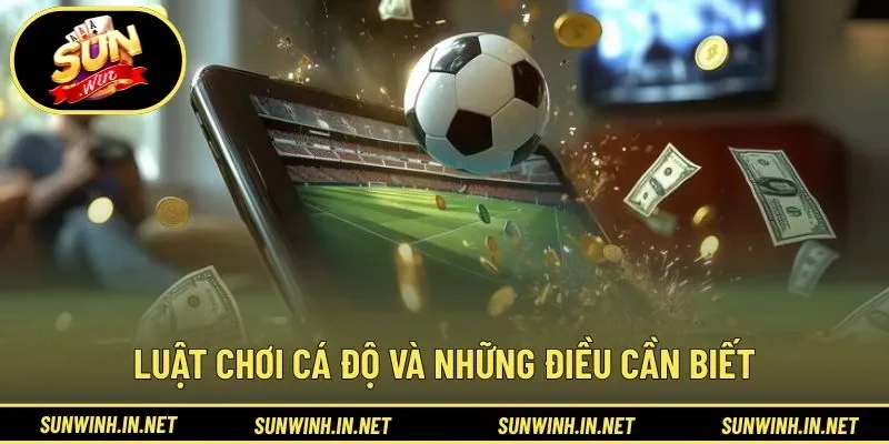 Luật chơi cá độ và những điều cần biết